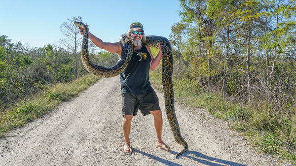 Celebrity python hunter, scientist headline on ‘Ding’ Darling Day ...